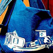 Product Photo: Patriot Act Bag - by Nancy Breslin