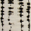 Product Photo: Discharged black fabric