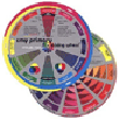 Tools For Dyeing