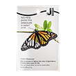 iDye Color Remover