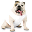 Doggie Baby Rib Tank (#DTT)