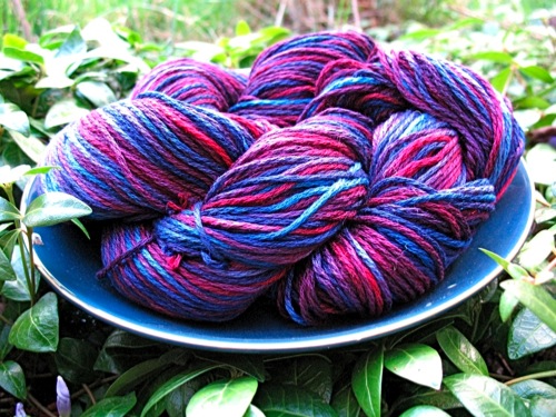 Westlake Natural Dyeing Kit, dye yarn with plant based colour