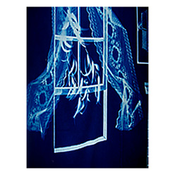 Blueprints Cotton Cyanotype Fabric
