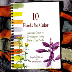 10 Plants for Color
