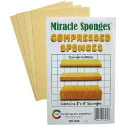 Compressed Sponges