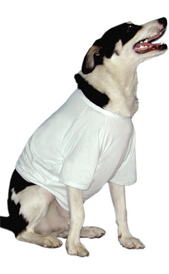Doggie T-shirts