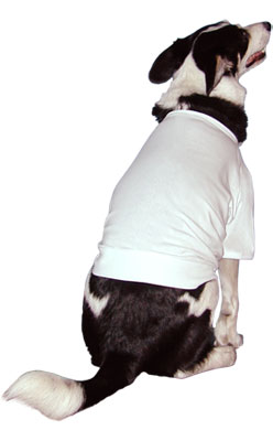 Doggie T-shirts
