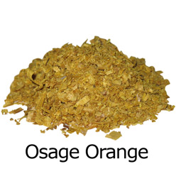 Osage Orange