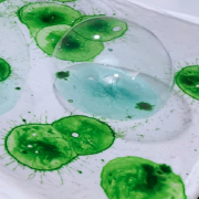 Bubble Dyeing Tutorial with Juletones