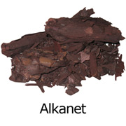 Alkanet