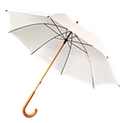 Poly Umbrella
