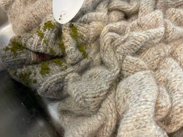 Sweater arranged in pan